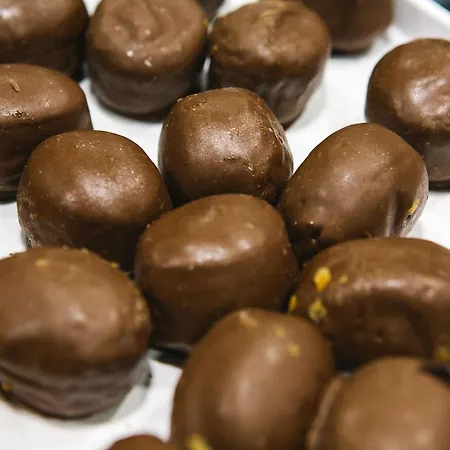 欧拉莱茵酒店 * 圣塞瓦斯蒂安